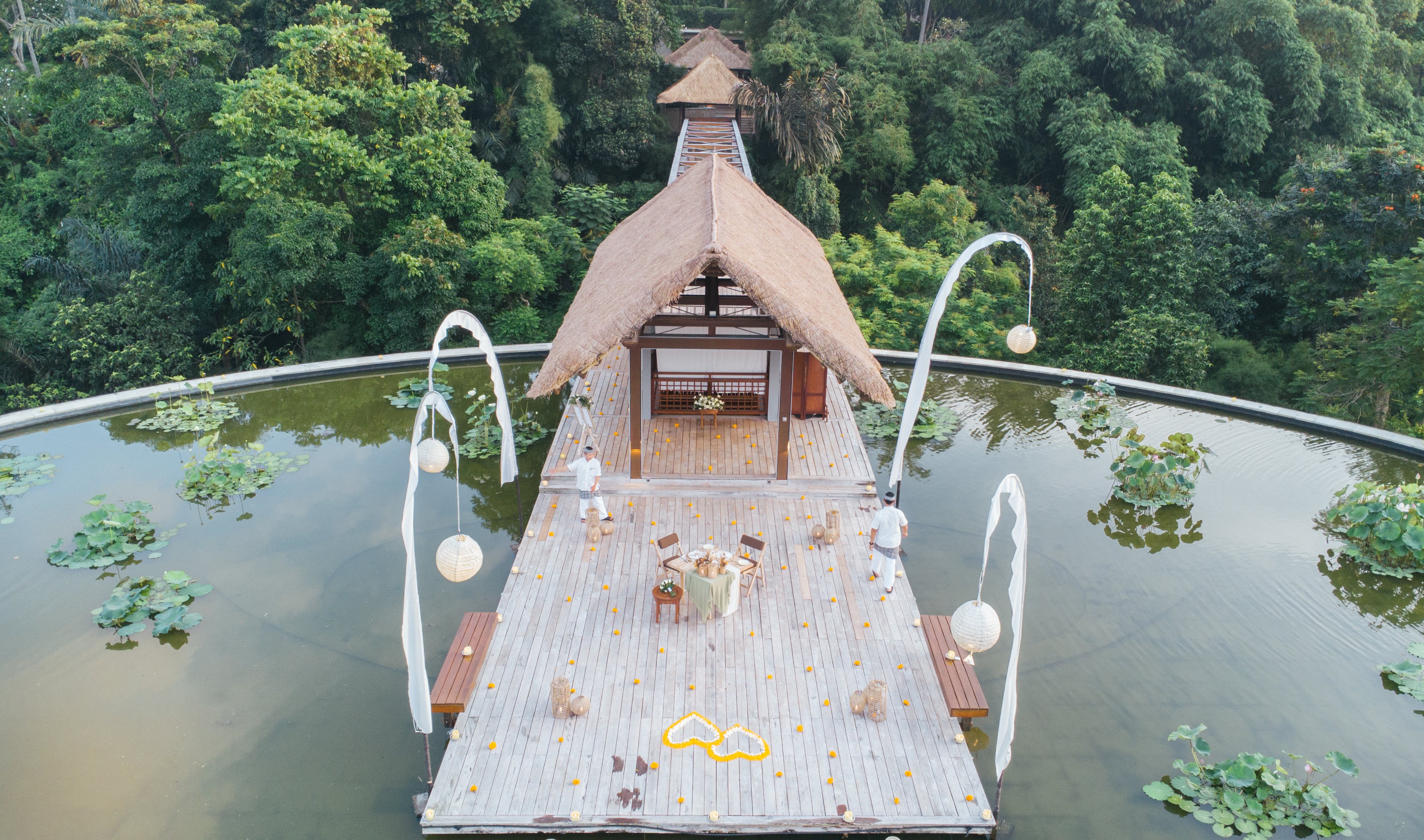 High-angle shot of a scenic platform on a pond amidst lush forest, ideal for travel and architecture themes.