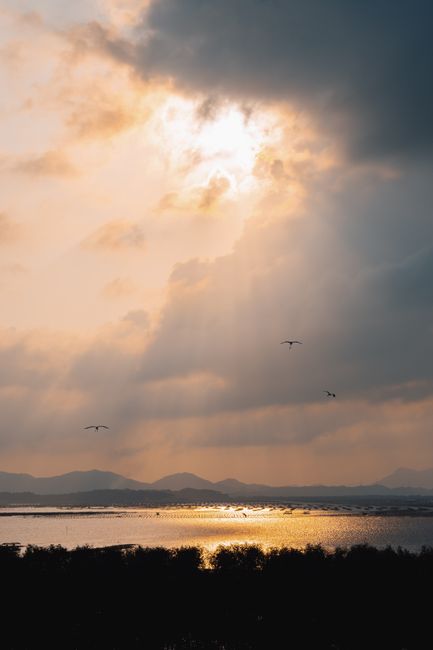 Peaceful sunset with birds flying over a tranquil lake, creating a serene atmosphere.