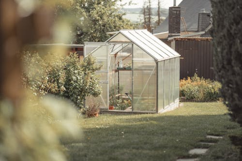 Tiny Greenhouse in Yard