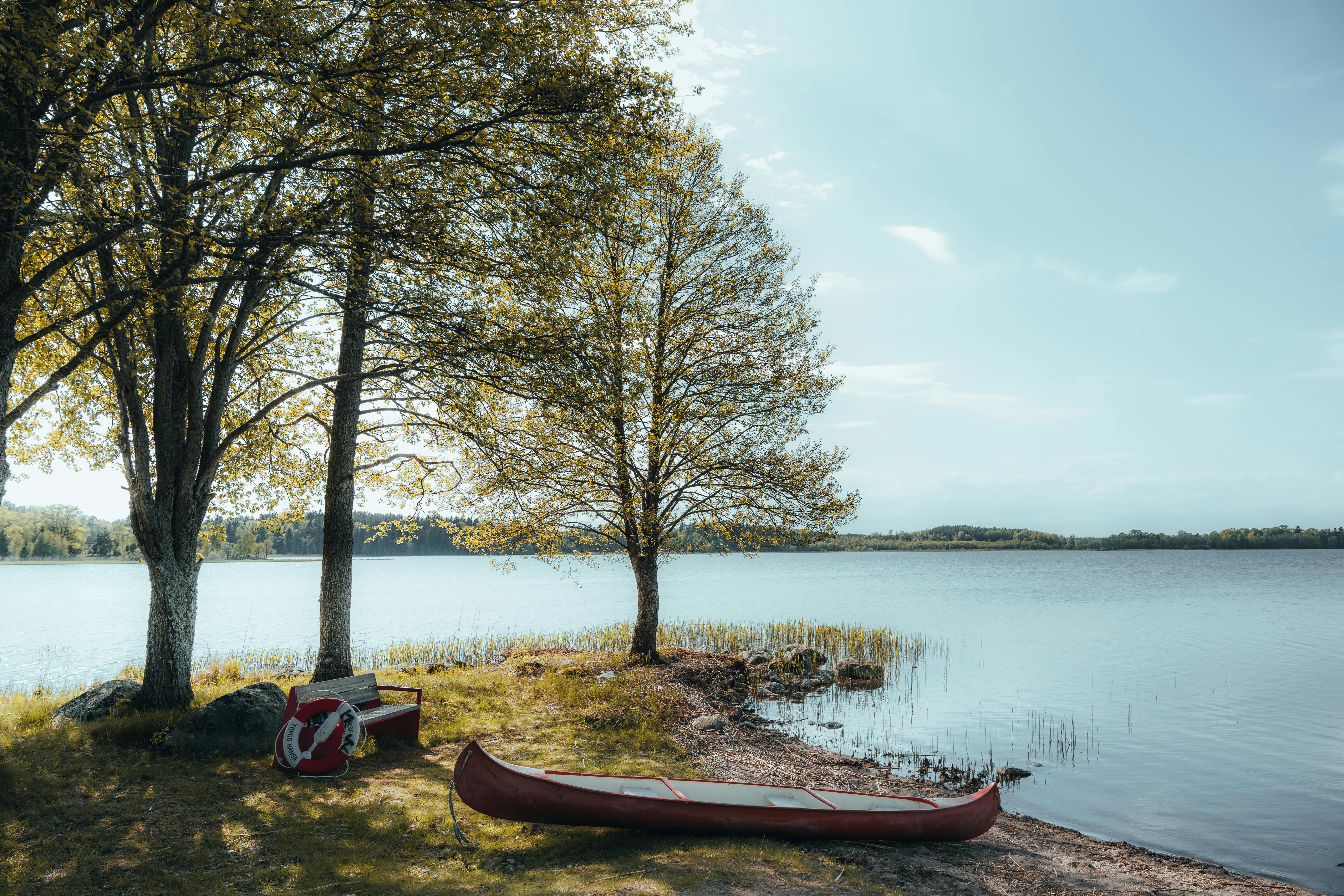 A serene lakeside view featuring a canoe by the shore, trees, and a bench.