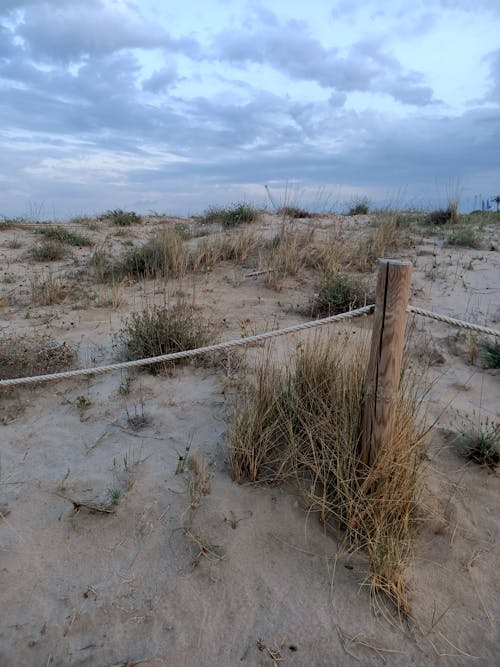 beachlover, 沙丘, 沙滩 的 免费素材图片
