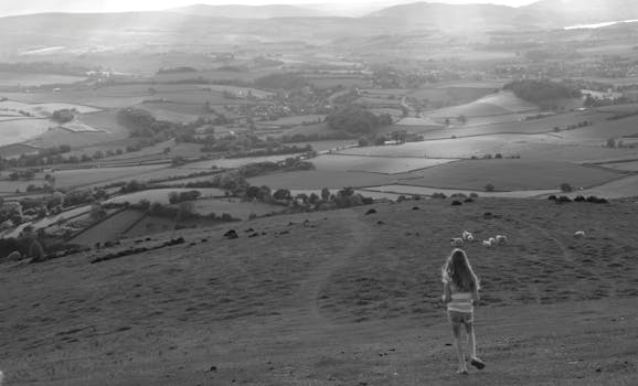Gray Scale Photography of Woman Facing Trees and Field View