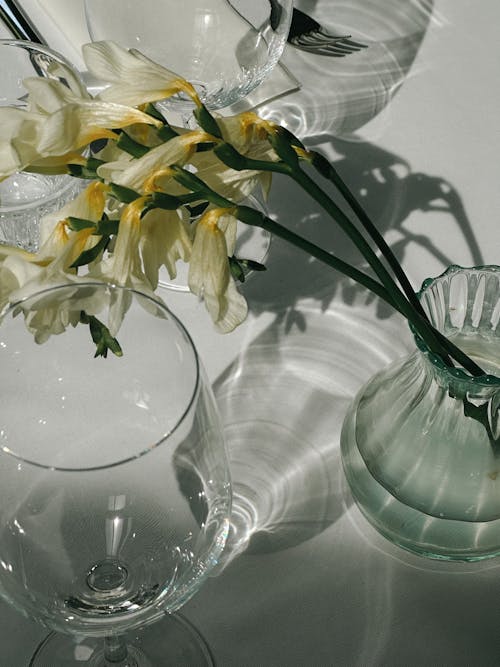 A Bunch of Daffodils in a Glass Vase Standing next to Glasses on a Table 
