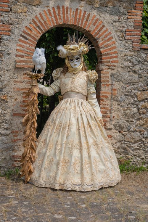 Free Woman in ornate costume poses with an owl in Clisson, France. Stock Photo