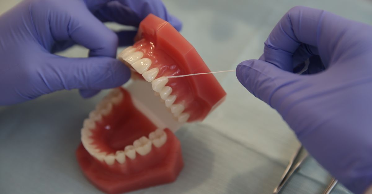 A dentist demonstrating oral hygiene on a model