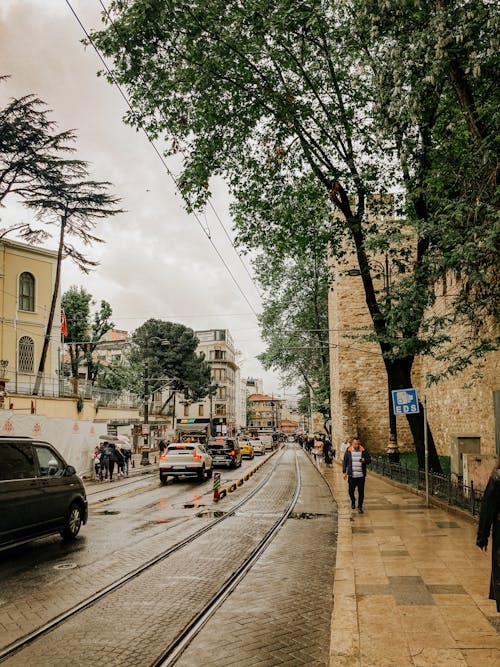 Základová fotografie zdarma na téma auta, chodci, chodník