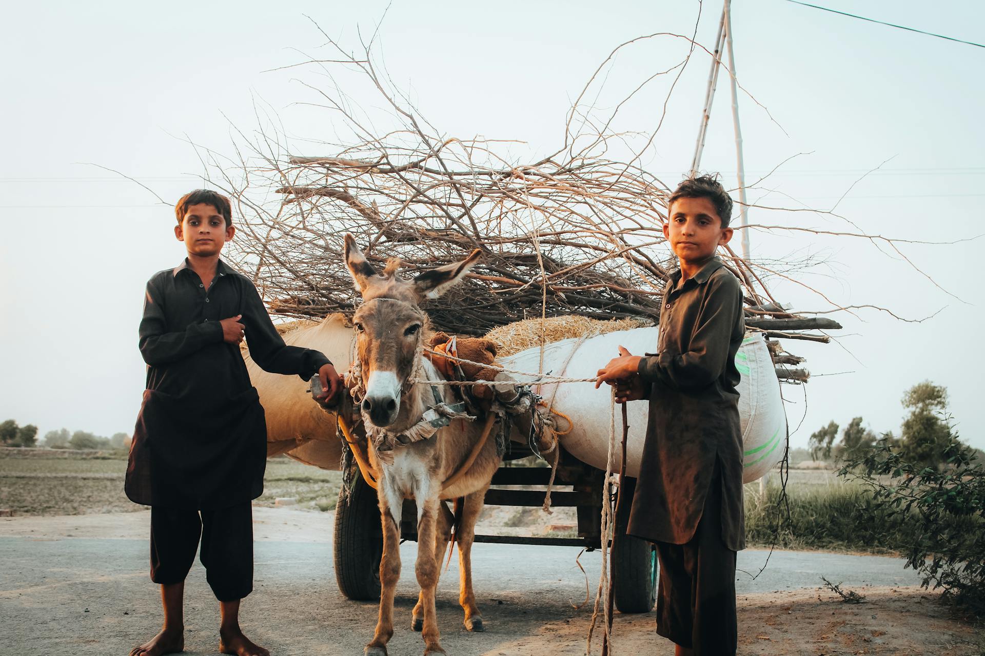 Boys Standing with Donkey and Trailer