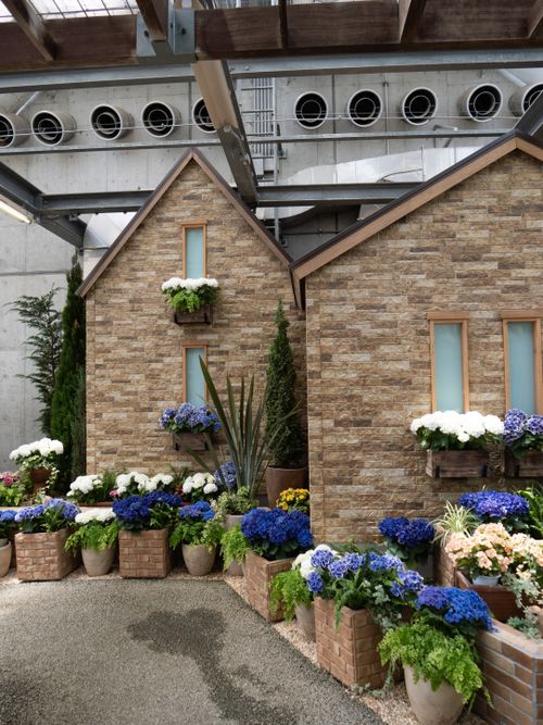 Free Indoor urban flower arrangement with brick facade in Toyohashi, Japan. Stock Photo