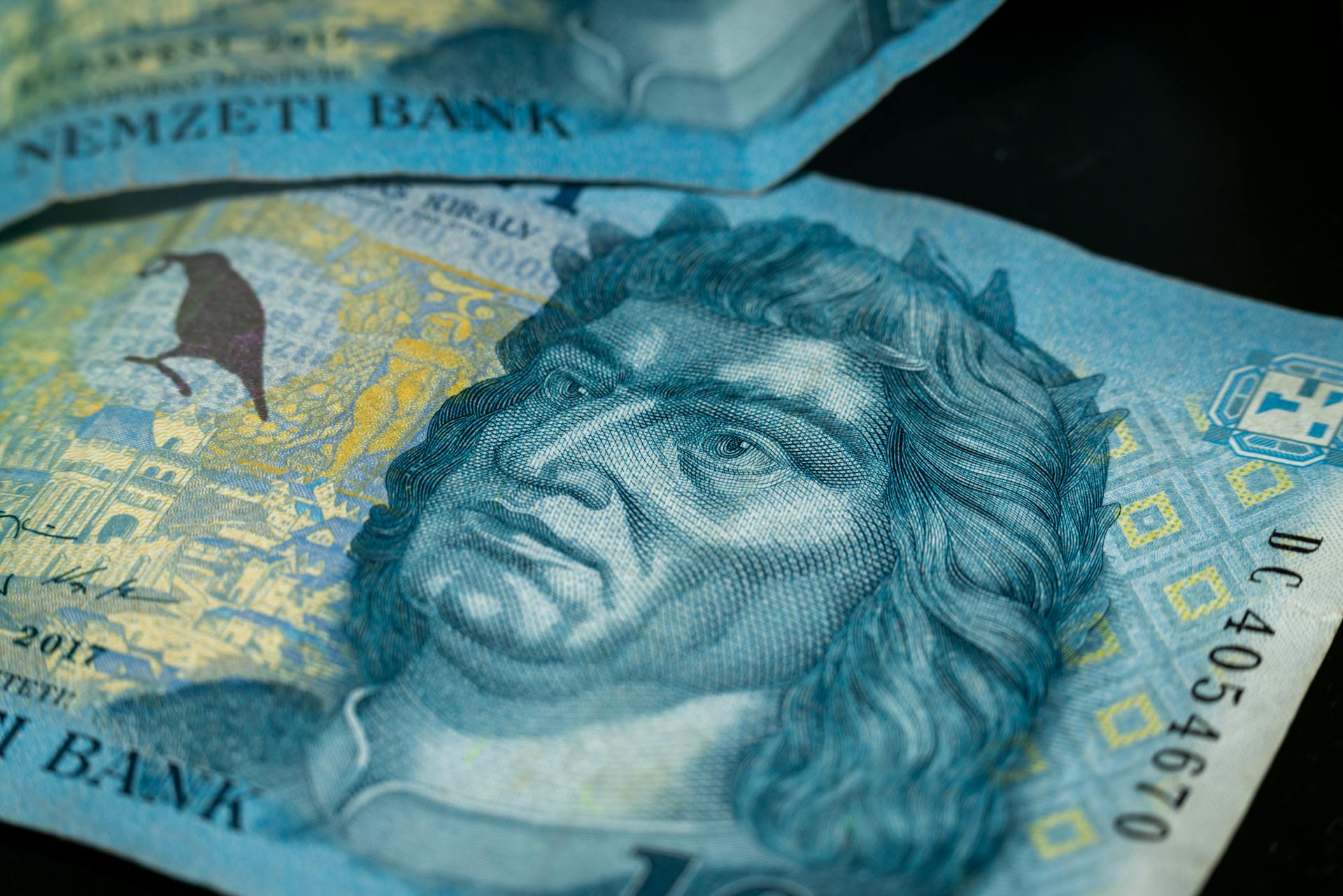 Forint Banknotes in Close Up