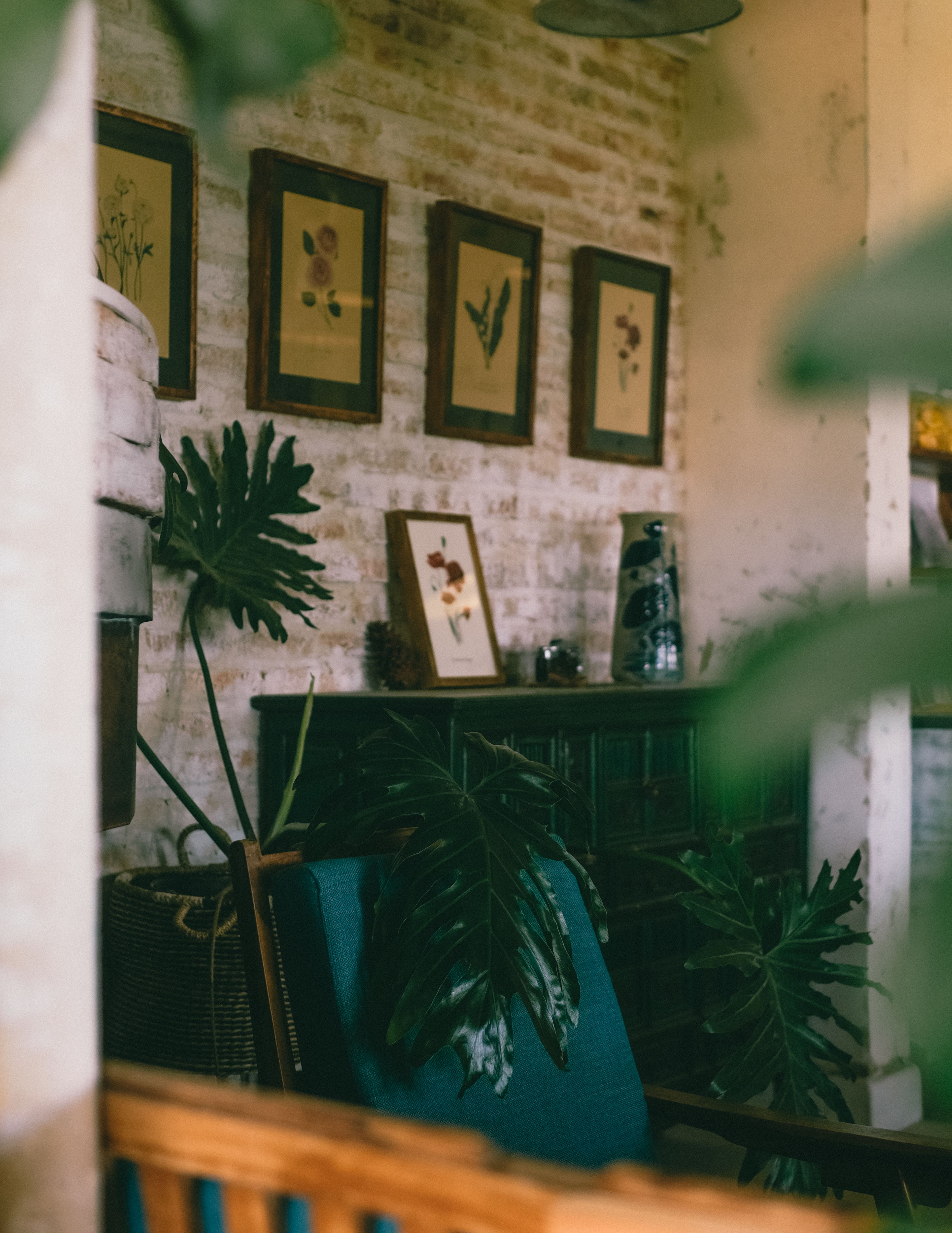 Aesthetic indoor space featuring monstera plants, botanical art, and vintage furniture.