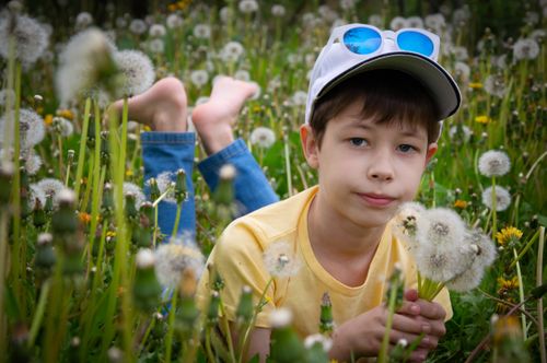 Free A young boy lying in a dandelion-filled meadow, embracing summer leisure. Stock Photo