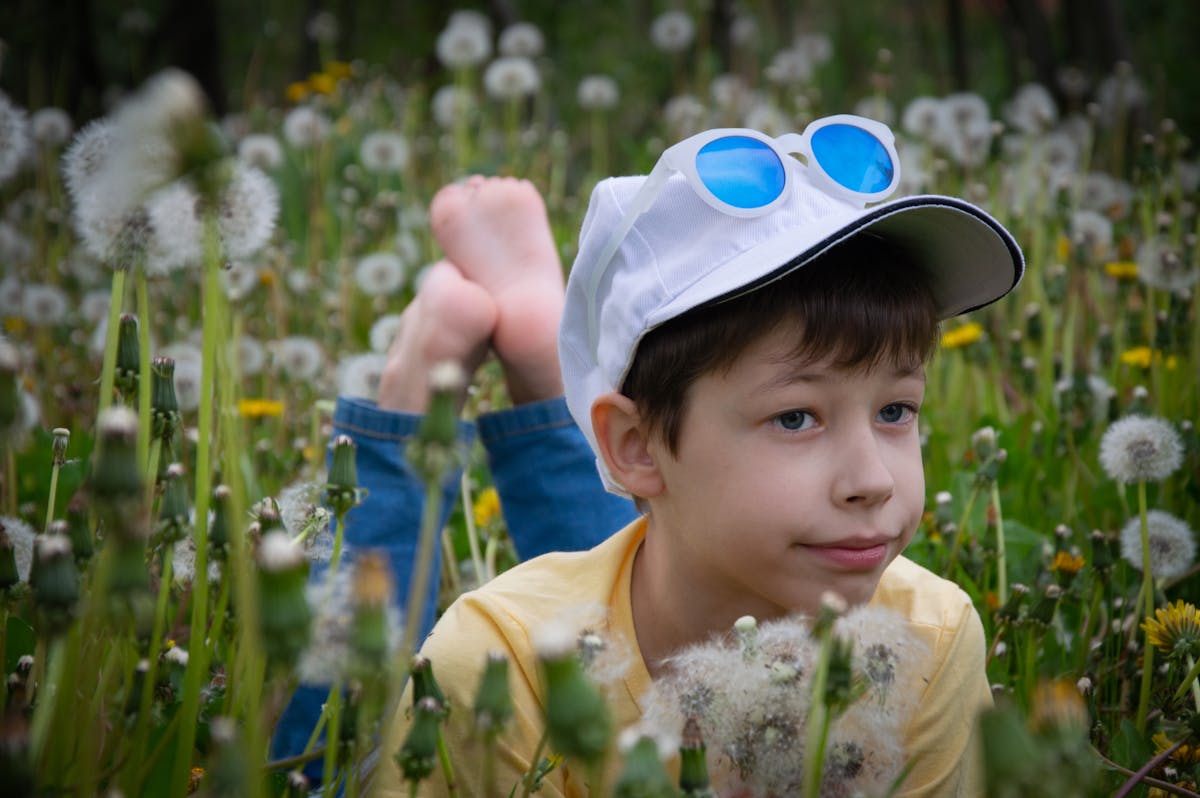 i m in a field of dandelions