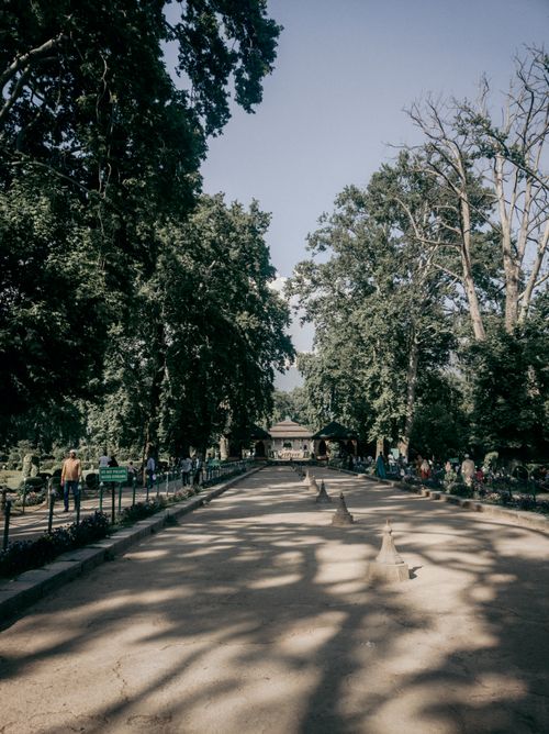Free Sunny park pathway flanked by trees, creating a serene and inviting atmosphere. Stock Photo