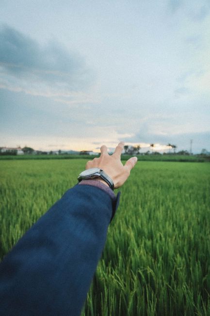 A hand in a suit reaches over a lush green farm field beneath a cloudy sky.