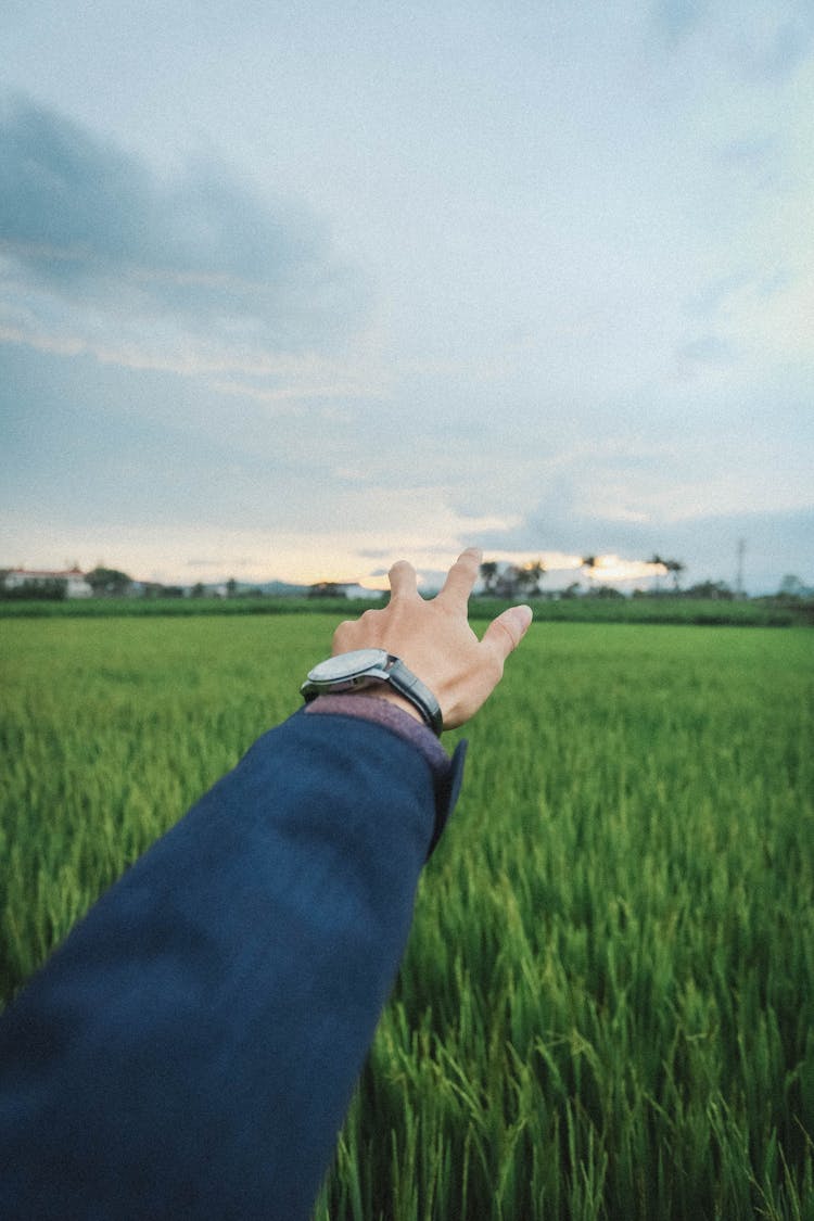 Hand Pointing On The Horizon