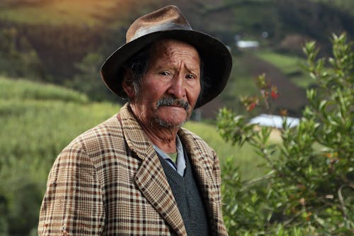 Ingyenes stockfotó álló kép, farm, farmer témában