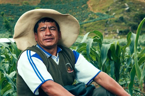 Man Sitting on Cropland