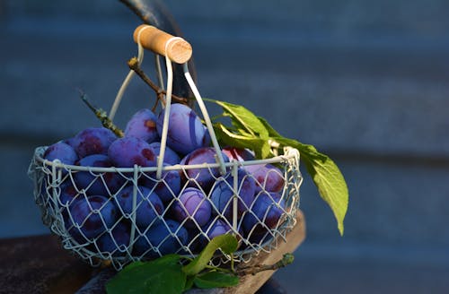 金属篮子上的红葡萄水果