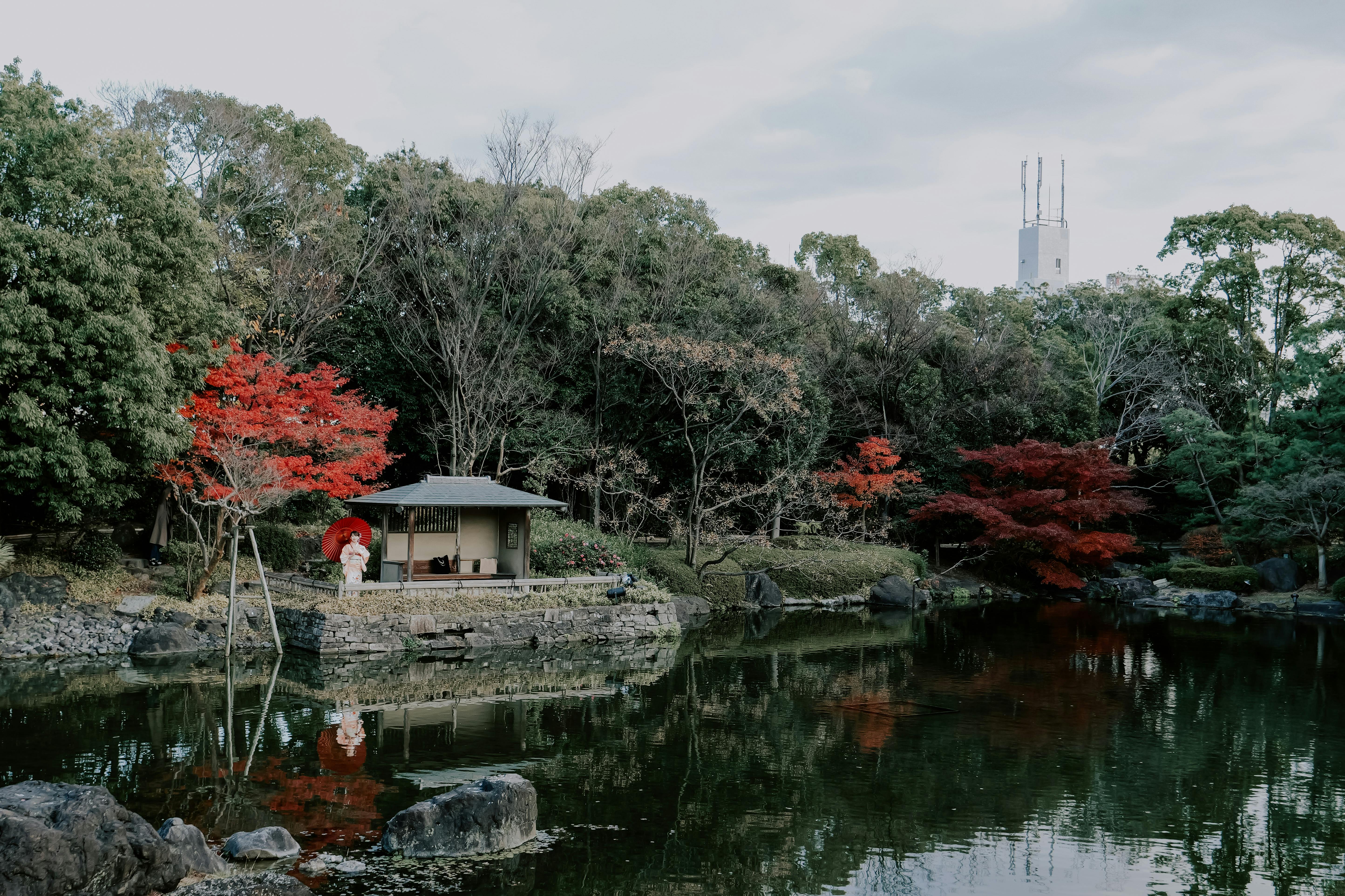 Serene Japanese garden in Nagoya with red autumn leaves reflected in the pond.