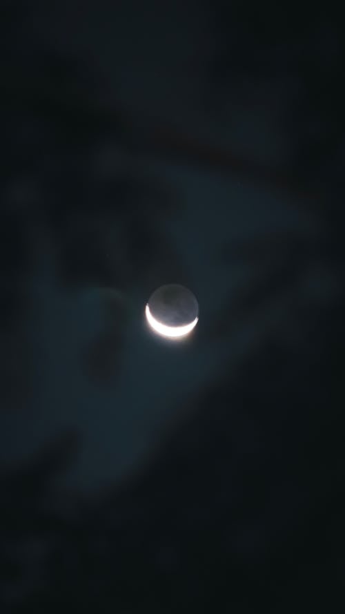 Free stock photo of half moon, moon