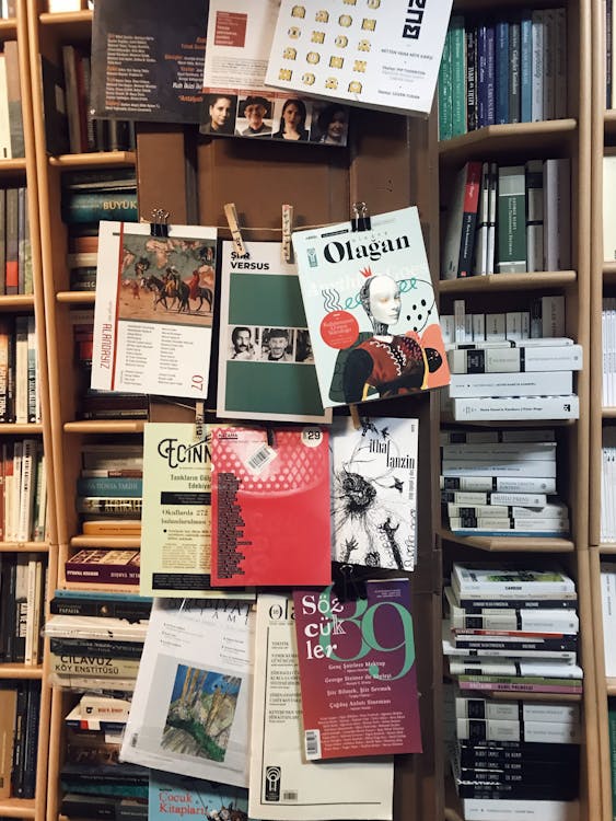 Bookcase with Journals and Books · Free Stock Photo