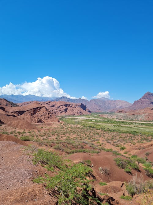 Arid Landscape of Nevada