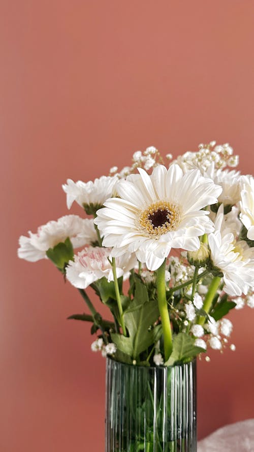 Foto d'estoc gratuïta de blanc, flors, fresc