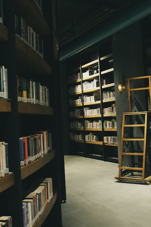 Gratis lagerfoto af bibliotek, bøger, lodret skud