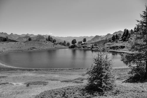 Foto stok gratis alam, danau, hitam & putih