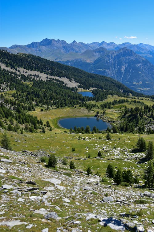 Imagine de stoc gratuită din călătorie, dealuri, fotografiere verticală