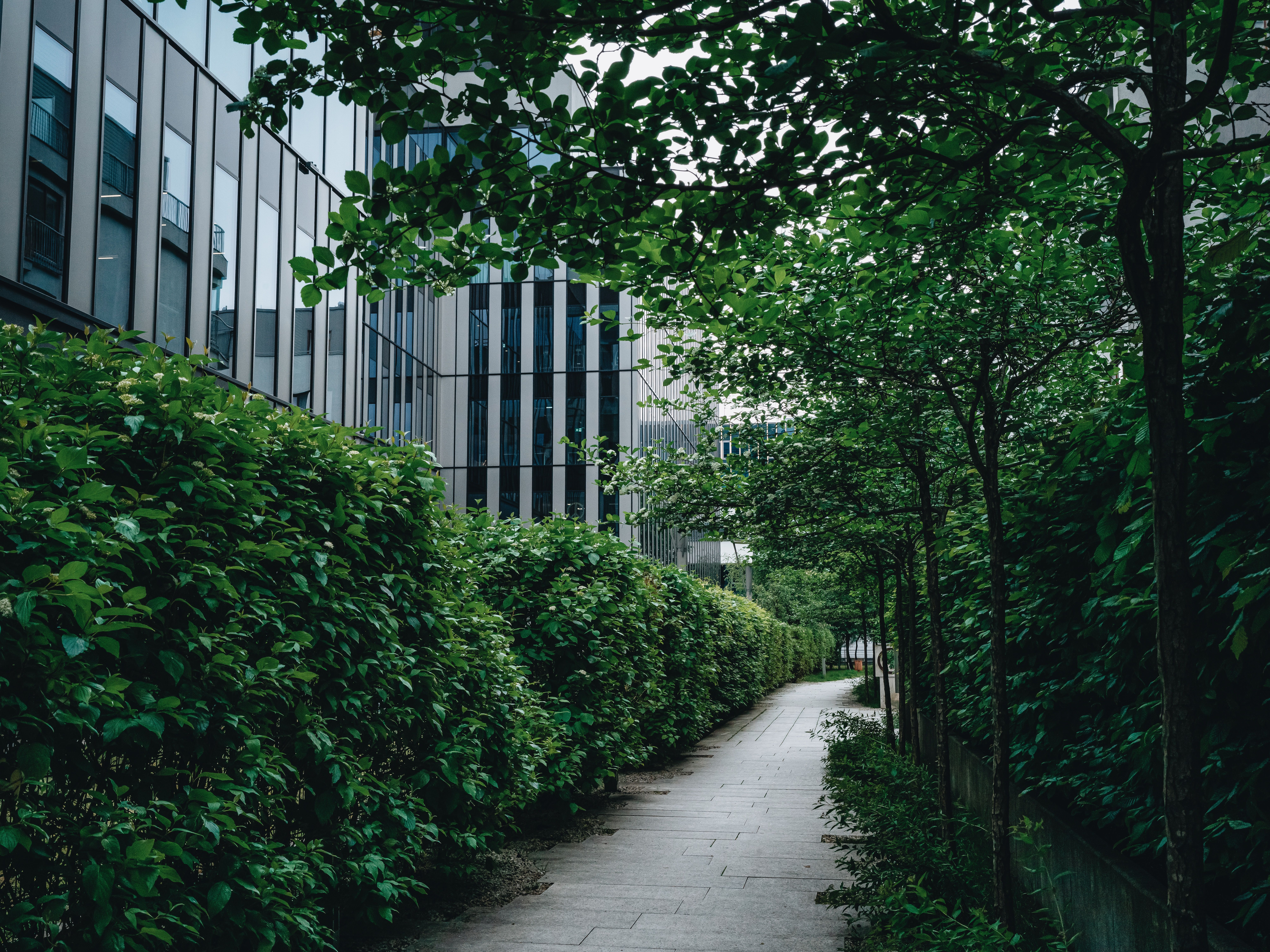 Photo by Egor Komarov on Pexels