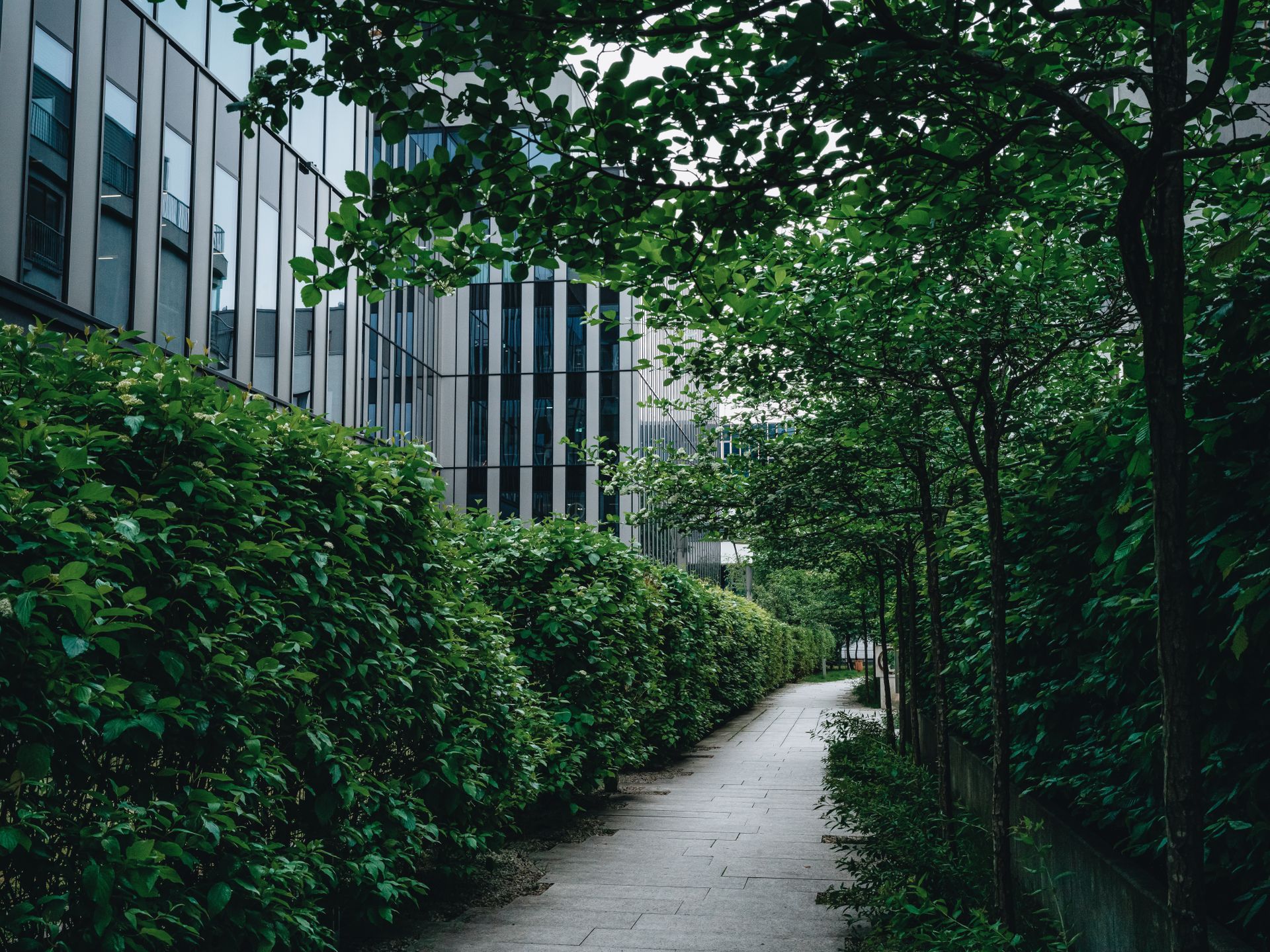 urban green corridor