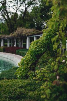 A serene garden scene featuring ivy-covered walls and a curved pathway with lush greenery.
