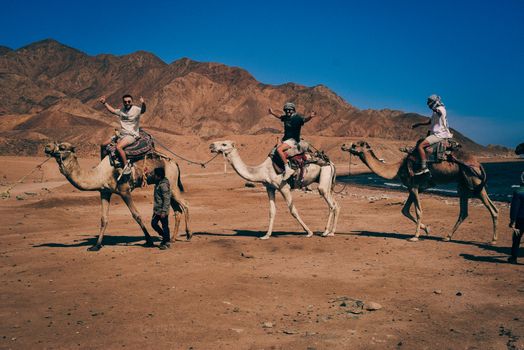 Bedouin desert dinner — Sharm el-Sheikh