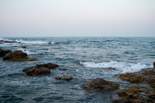 Foto d'estoc gratuïta de Costa, erosionat, mar