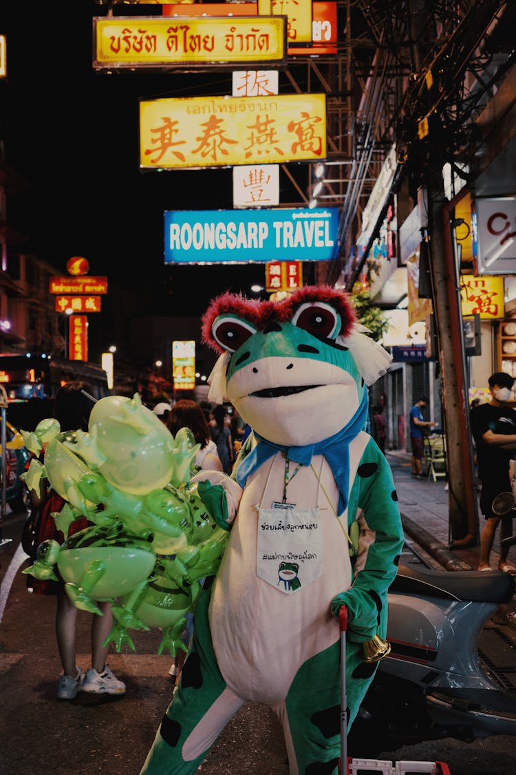 Person Dressed In Frog Costume