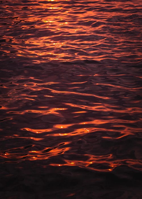 Shiny Water at Sunset