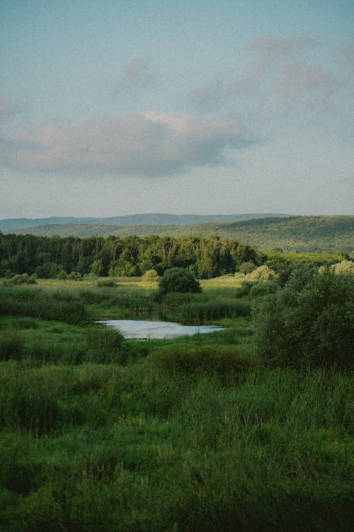 Ilmainen kuvapankkikuva tunnisteilla järvi, luonto, maaseudun