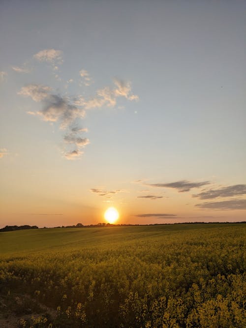 Foto profissional grátis de área, beleza na natureza, cair da noite