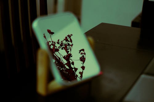 거울, 꽃, 반사의 무료 스톡 사진
