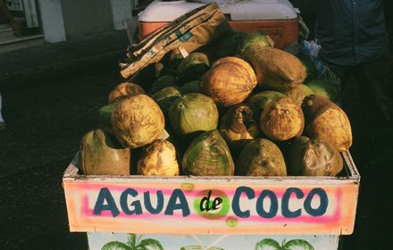 Jus de fruits frais et lait de coco.
