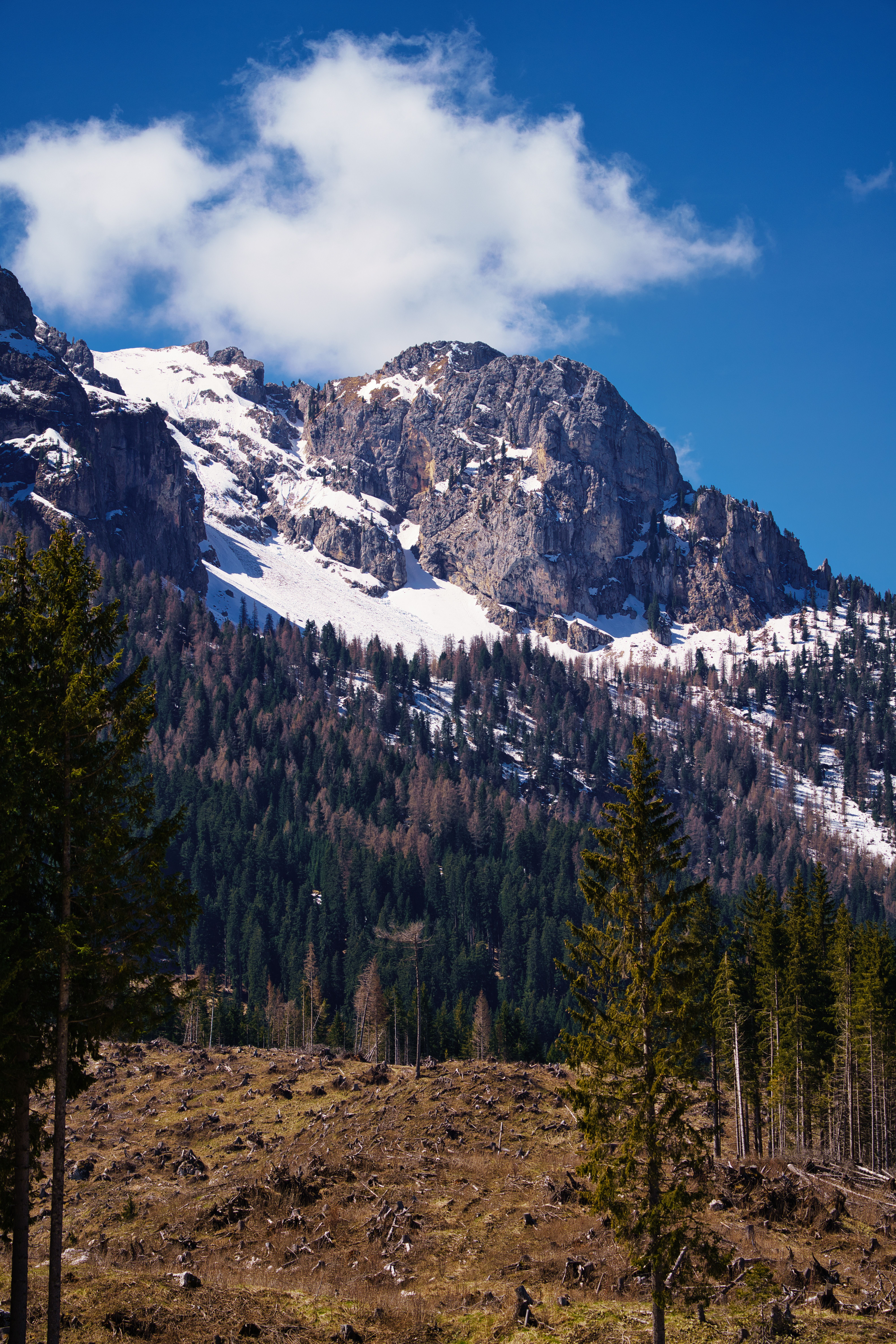 Scenic Landscape with Snowy Mountain Peak · Free Stock Photo