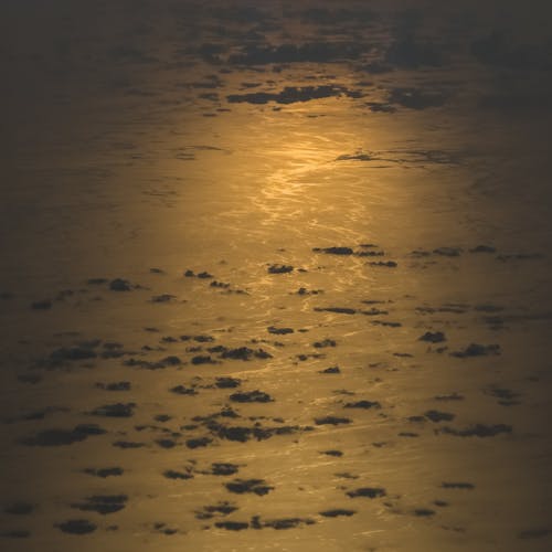 Close-up of the Water Surface at Dusk