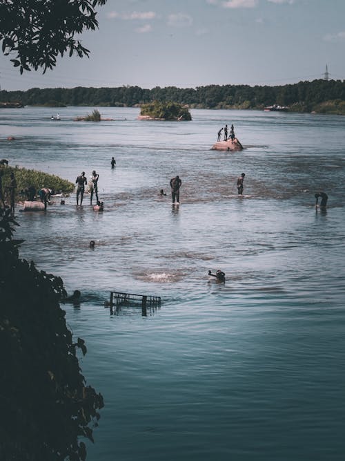 People Searching in River