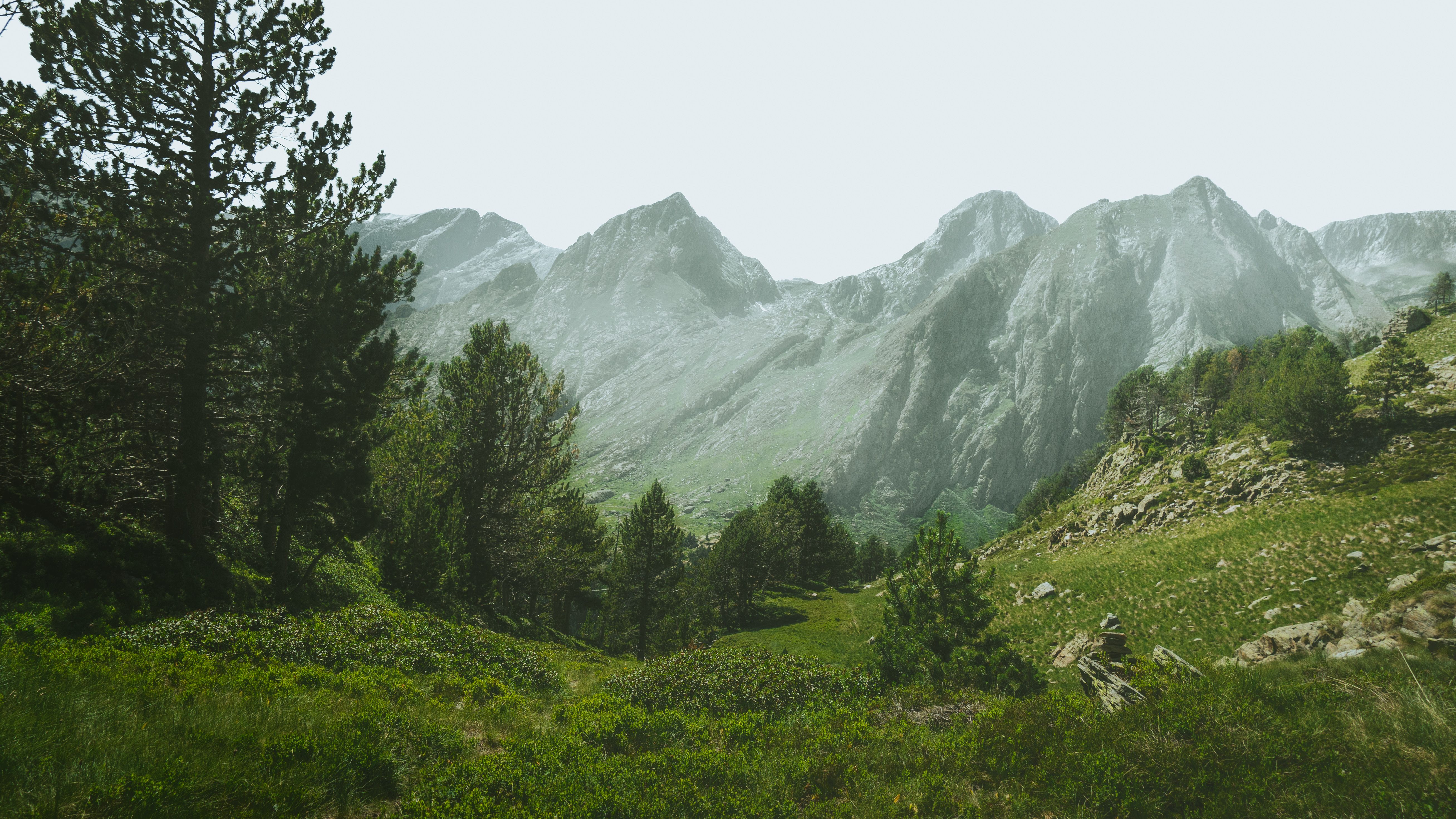 A misty view of the Pyrenees showcasing rugged mountains and lush green forestry in Catalonia.