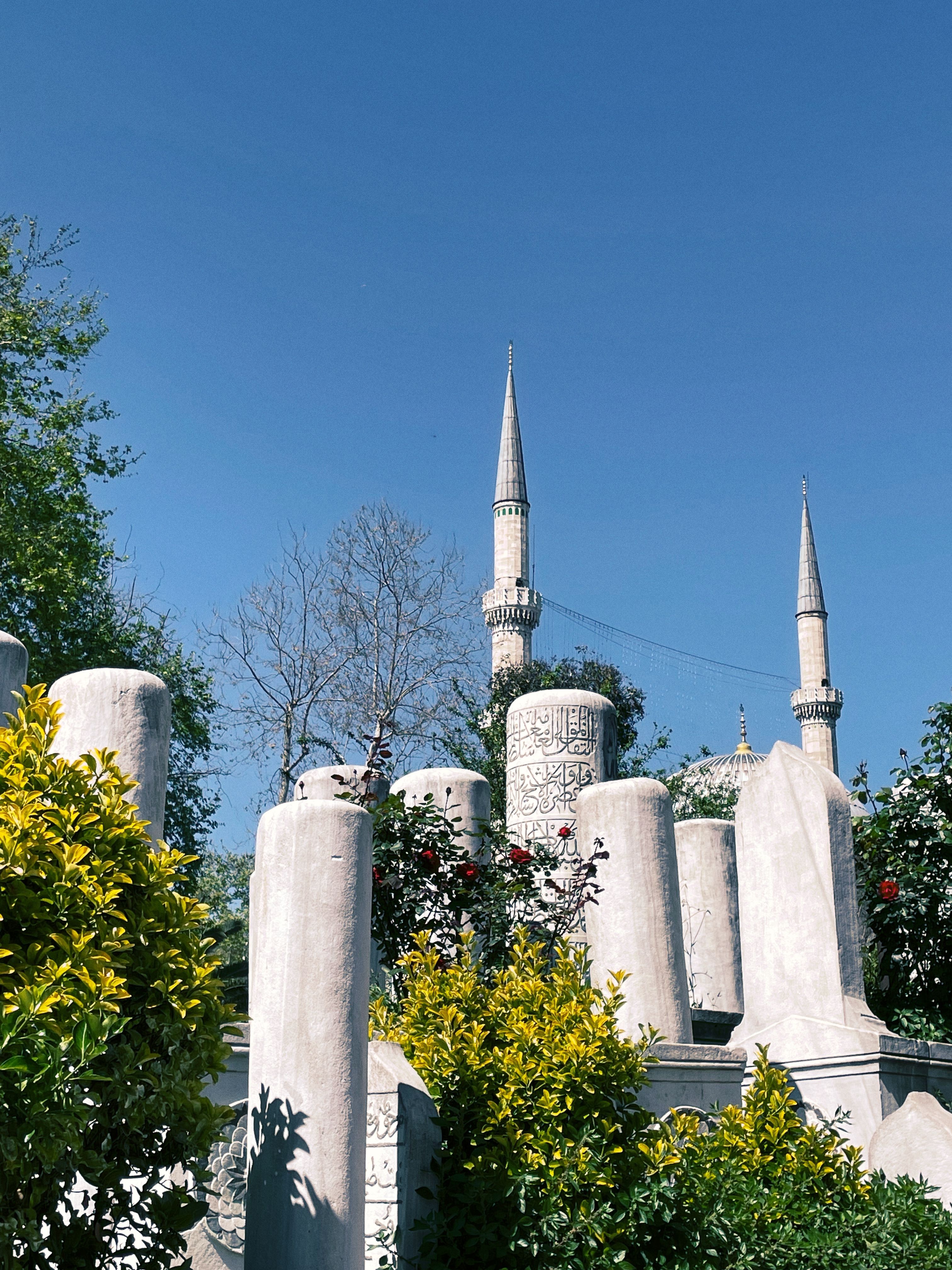 Vibrant view of Eyüpsultan Mosque's minarets and graves with lush greenery.