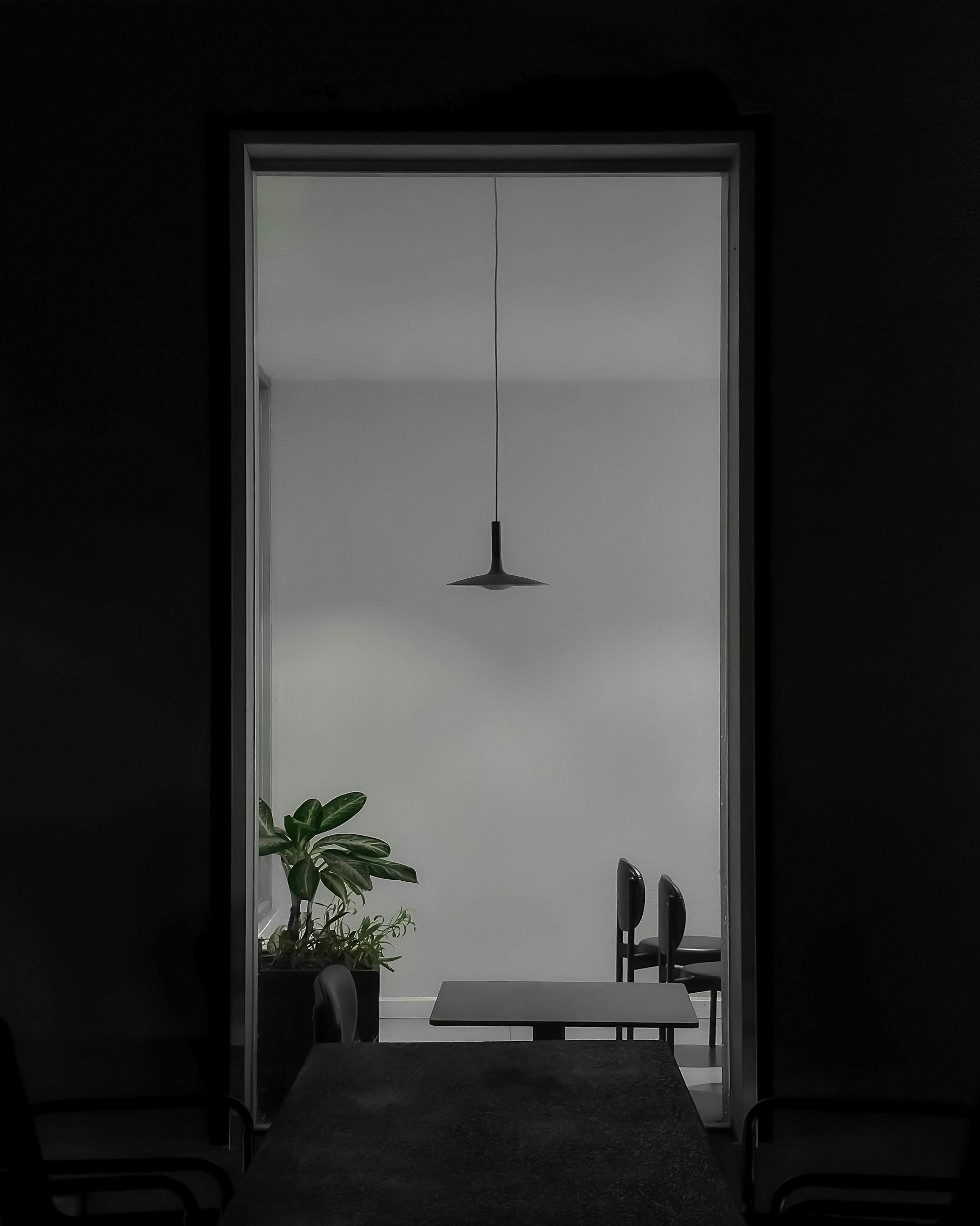 Folosirea plantelor ca elemente de design