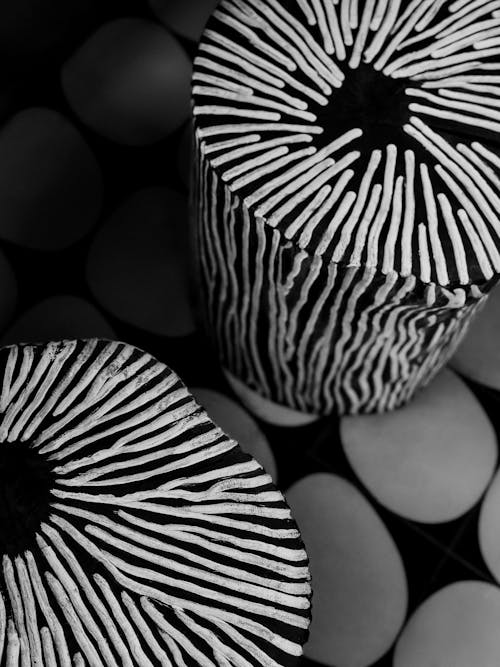 Darmowe zdjęcie z galerii z abstrakcyjny, czarno-biały, linie