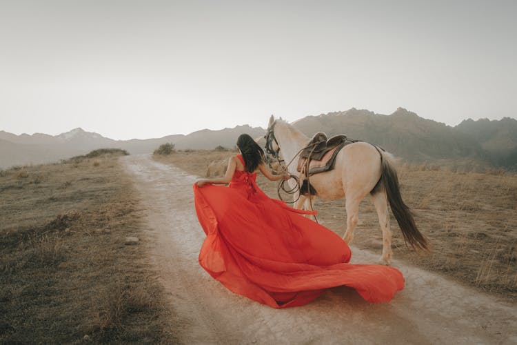 Woman In Long Dress With Horse In Mountains