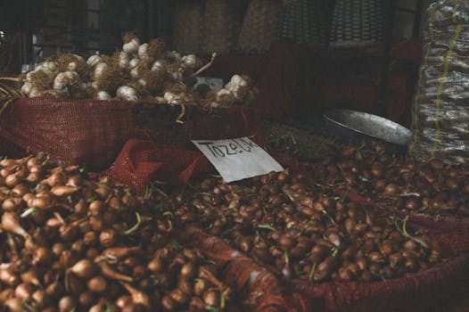 A cozy market stall displaying onions and garlic in red sacks, creating a rustic still life ambiance.